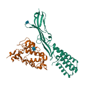 tPSA总前列腺特异性抗原Total prostate-specific antigen抗体对
