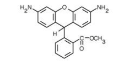 Dihydrorhodamine 123-二氢罗丹明 123